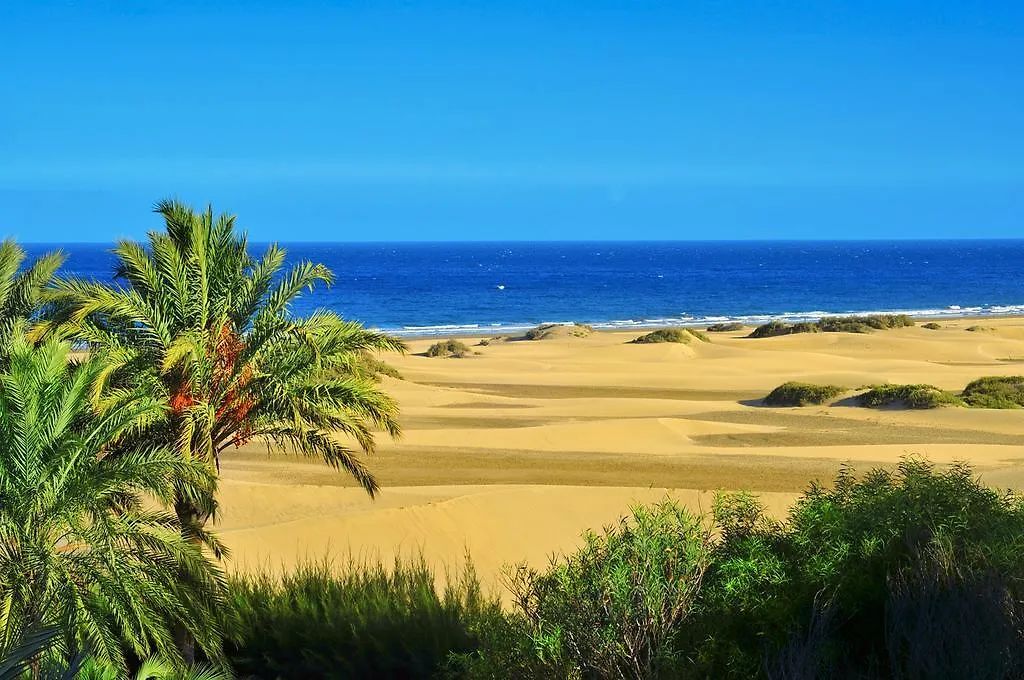 Oasis Playa Maspalomas Lägenhet Maspalomas  Spanien